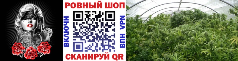 Где купить Пустошка Альфа ПВП  Cocaine  Мефедрон  АМФ  ГАШ 