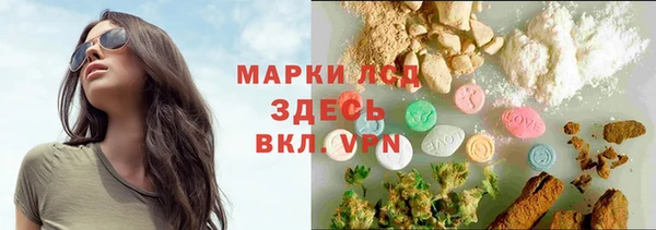 ПСИЛОЦИБИНОВЫЕ ГРИБЫ Аркадак