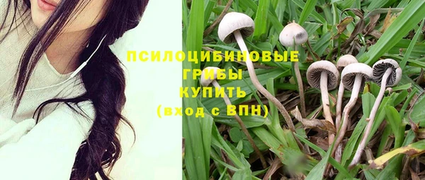 метадон Арсеньев