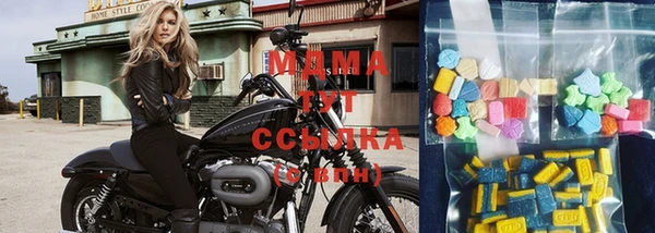 ПСИЛОЦИБИНОВЫЕ ГРИБЫ Аркадак