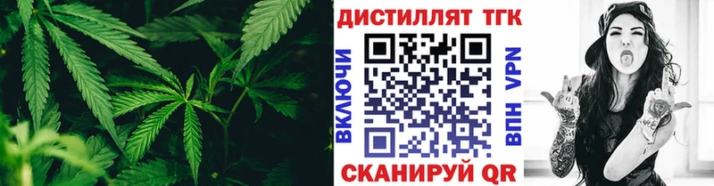ТГК концентрат Пустошка