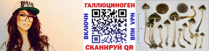 Псилоцибиновые грибы Psilocybe  omg вход  Пустошка 