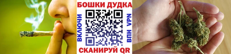 Шишки марихуана SATIVA & INDICA  сайты даркнета телеграм  Пустошка  купить  